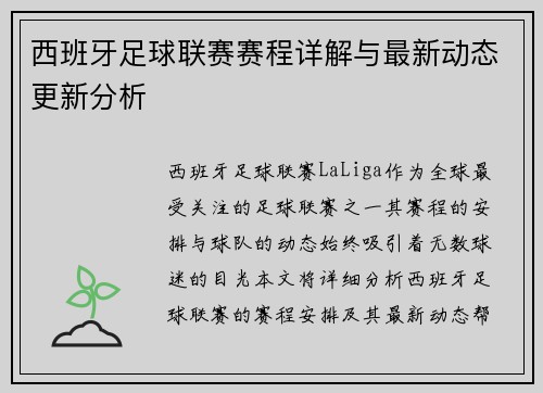 西班牙足球联赛赛程详解与最新动态更新分析